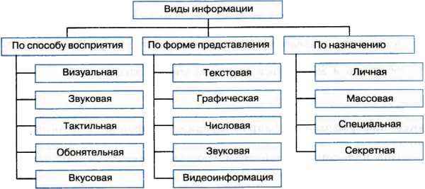 Виды Информации Фото